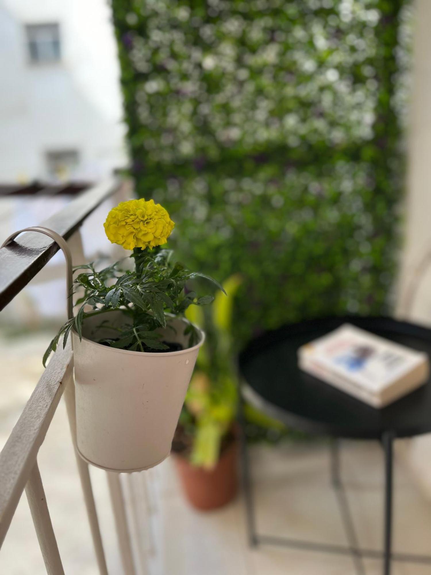 Christella Corfu Town Apartment Екстериор снимка